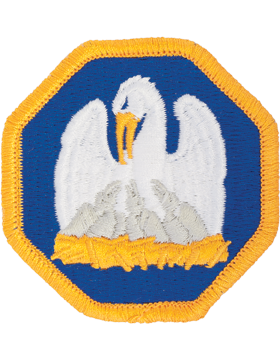 139th Regional Support Group patch